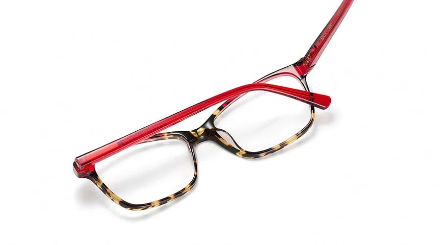 Etnia Barcelona HALLE Eyeglasses - view 23